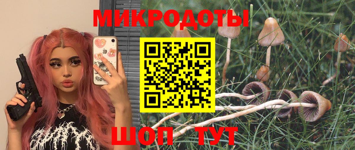 Саратов  Псилоцибиновые грибы Psilocybe  Вход с VPN 